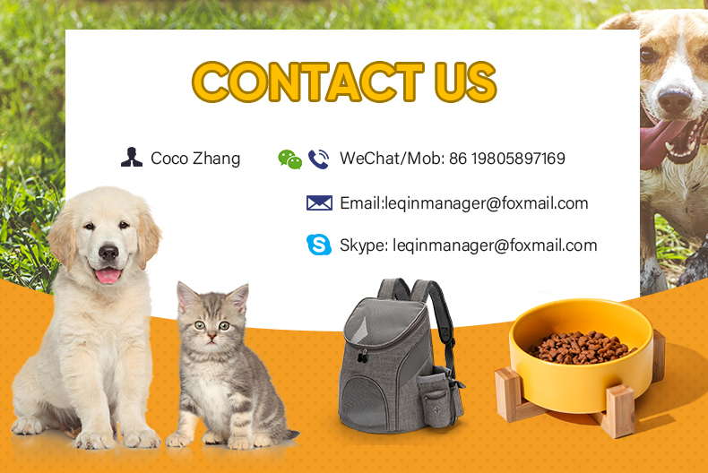 Footer Banner Detail