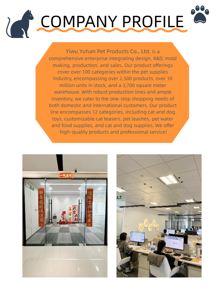 Company Profile Overview