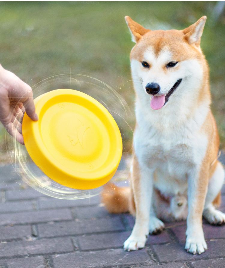Dog Toy Chewing Resistance