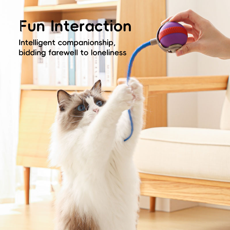 Cat Toys Smart Electric Rolling Cat Ball, Motion Activated Self-Playing Toy, Rechargeable Lithium Battery Trajectory Ball