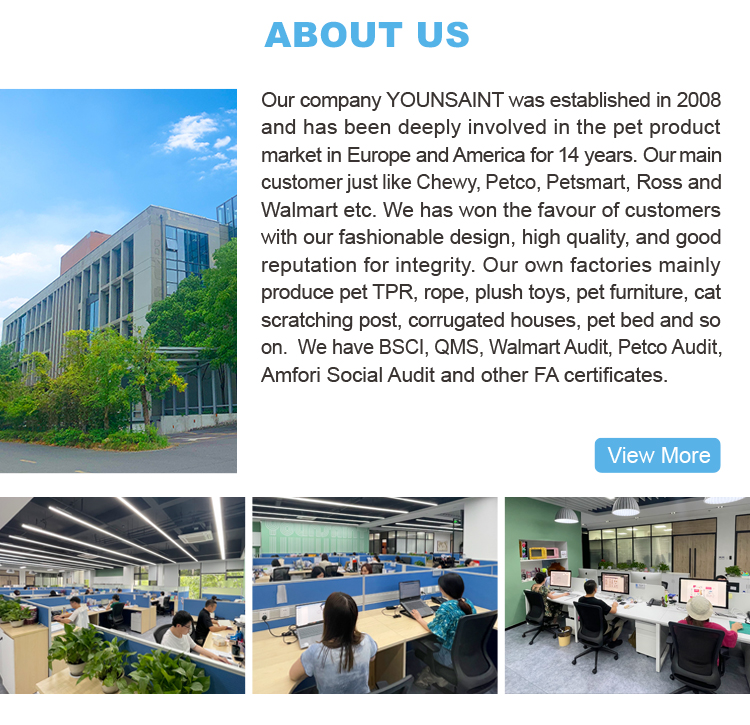 Company Profile Overview