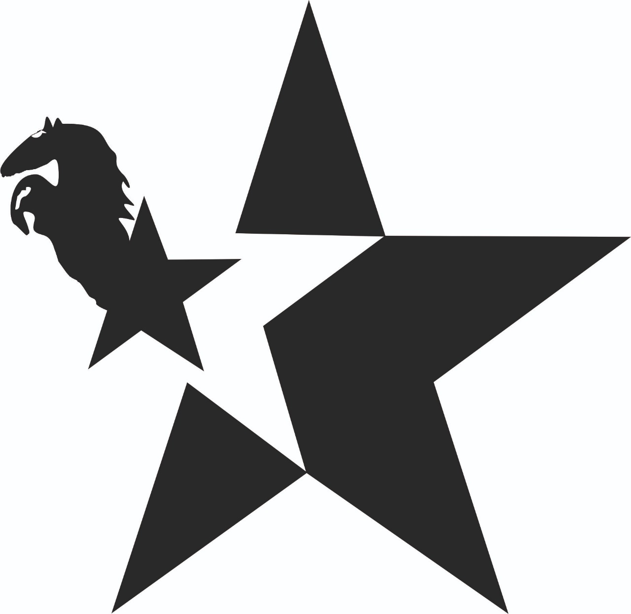 Company Showcase