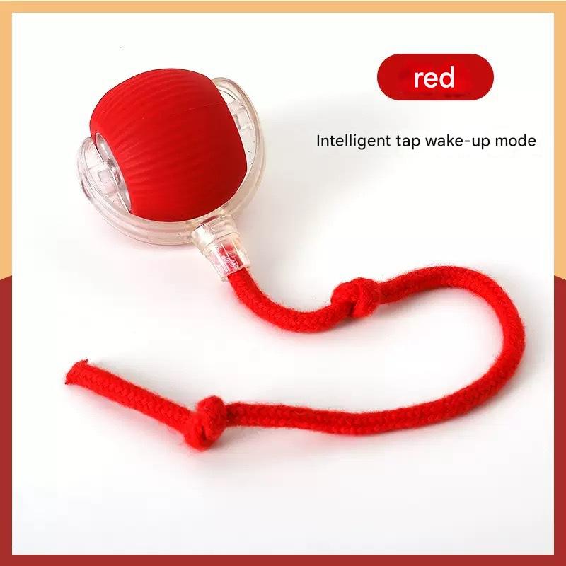 Lazer Cat Toy Ball