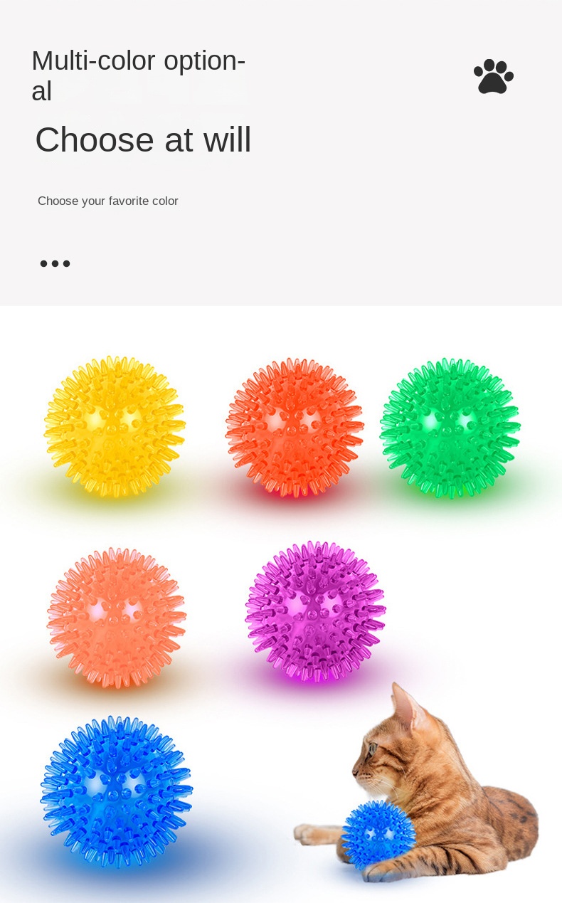 Dog Sound Ball Display 15