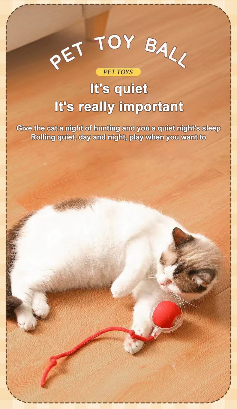Product Description Image 3
