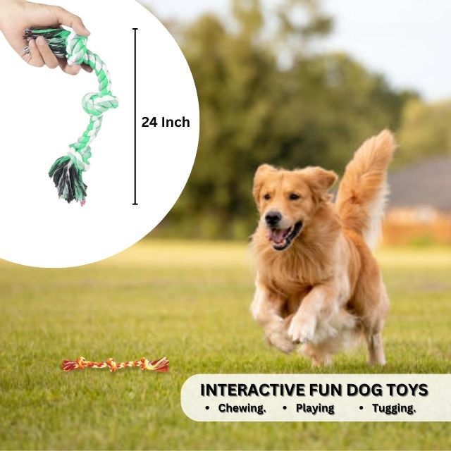 3 Knot Dog Rope Toy View 2