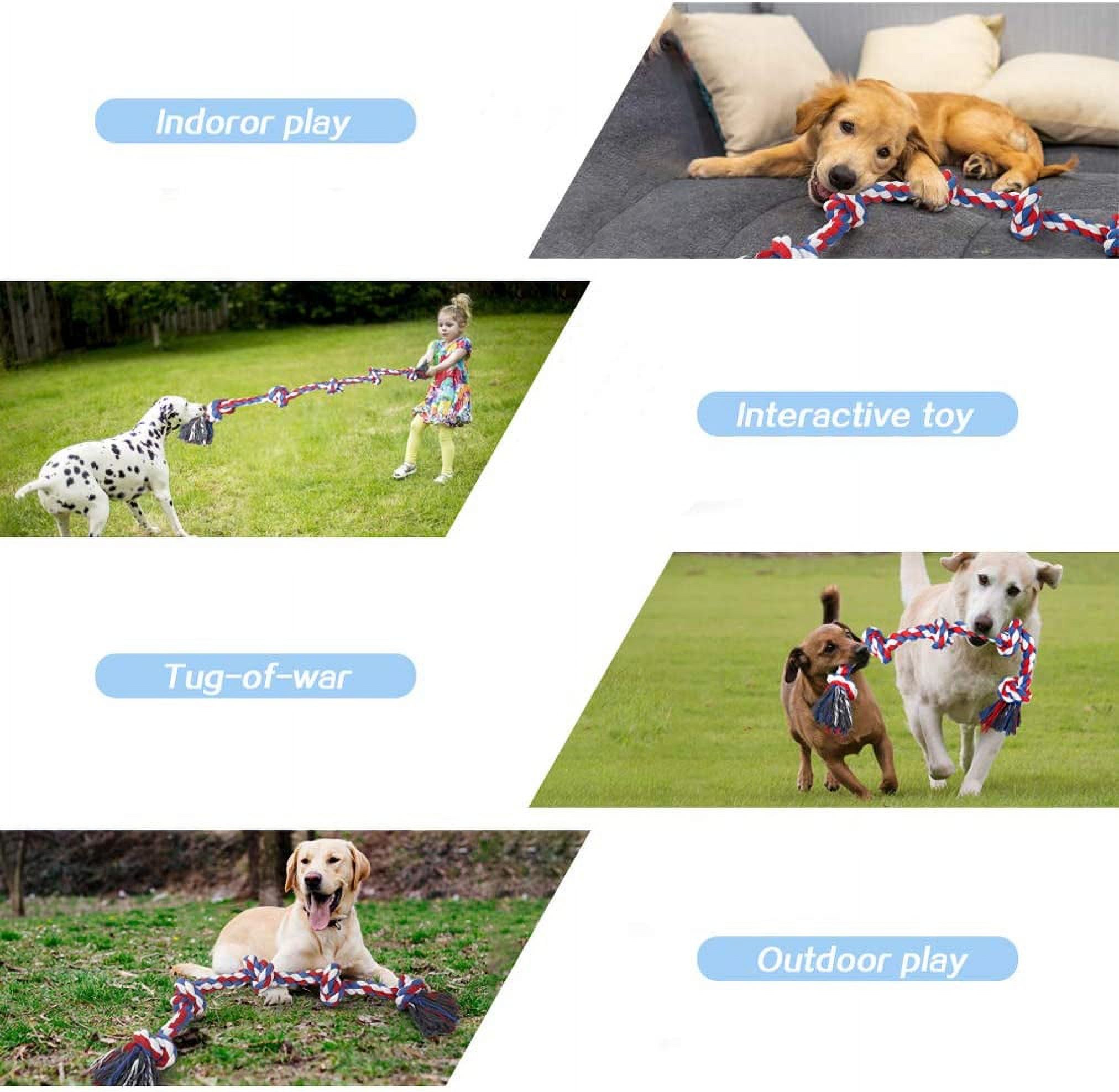 Dog Toy Image 2