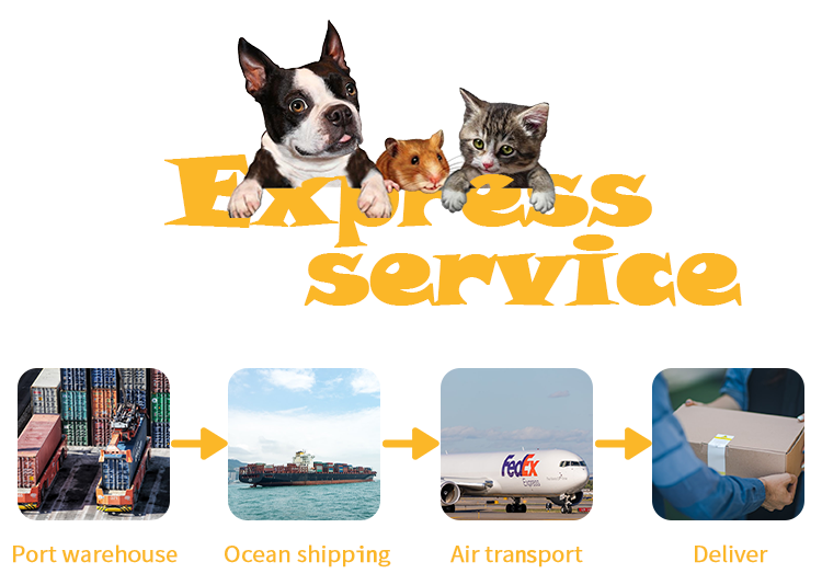 Shipping Logistics Details