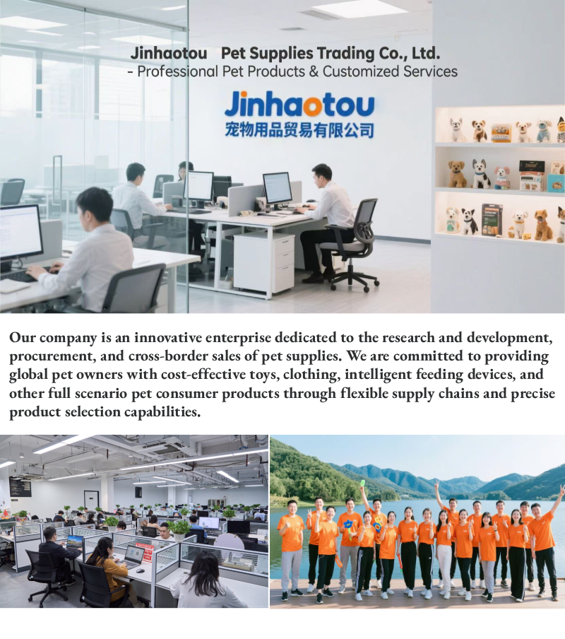 Company Information