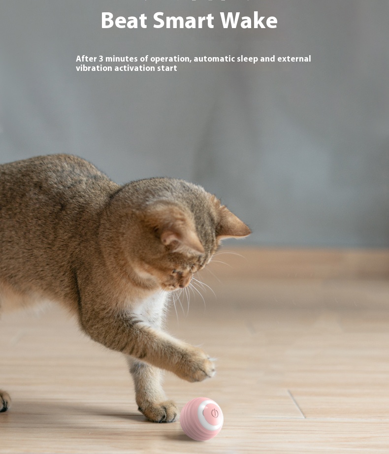 Electric Pet Rolling Ball Detail 7