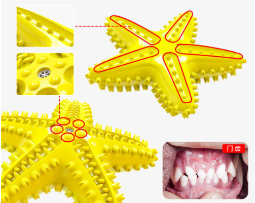 Custom Color Interactive TPR Sounding Tough Chewer Eco-Friendly Starfish Pet Chew Toys Squeaky Dog Toy with Toothbrush