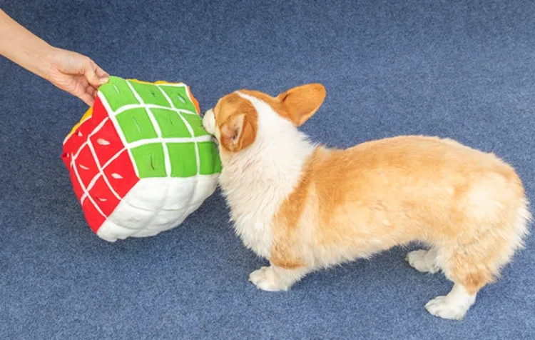 Pet Cube Sniffing Toy Dog Enrichment Chew Toys Puzzle Hiding Food Interactive Toy