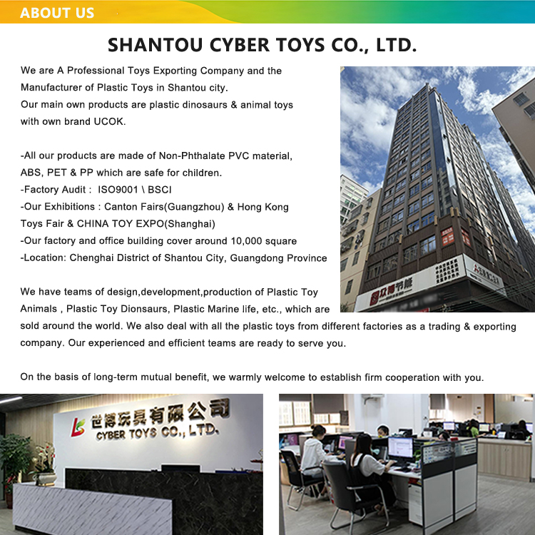 Company Showcase