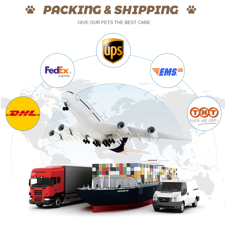 Fast Shipping and Logistic Details