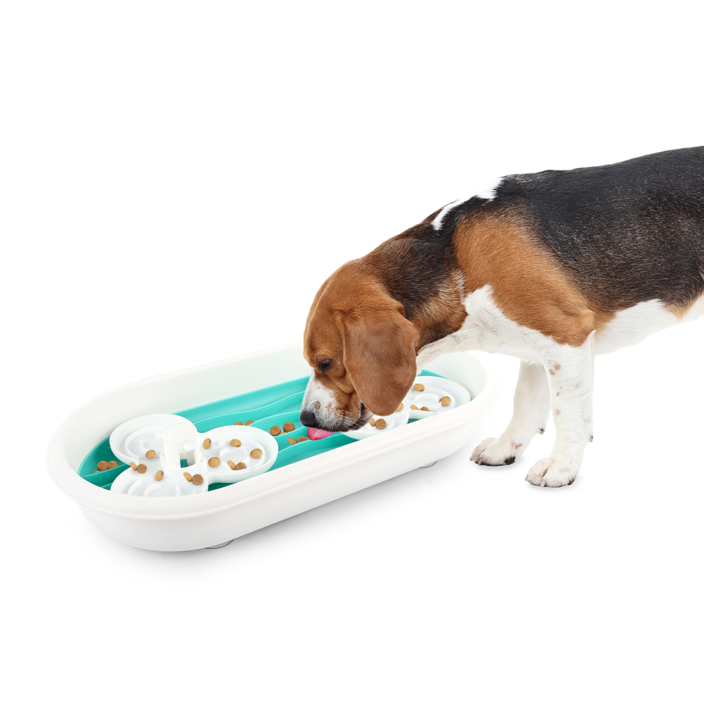 Multi Level Fun Puzzle Feeder