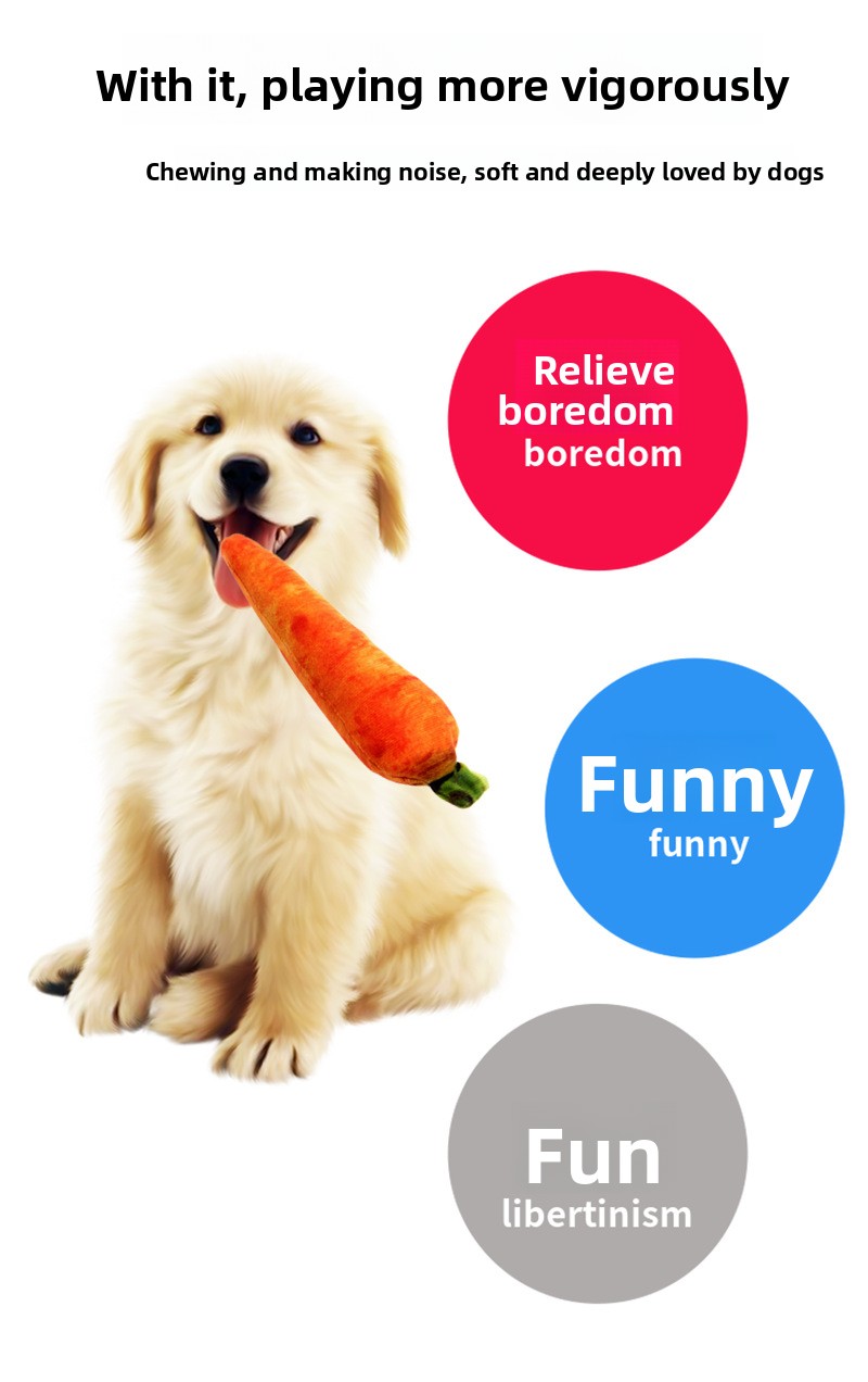 Dog Toy Showcase 1