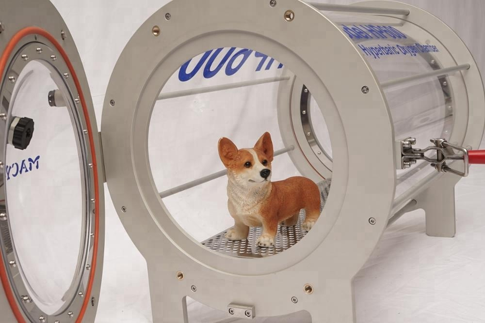 Pet Hyperbaric Chanmber at Home for Sale of Macy-Pan