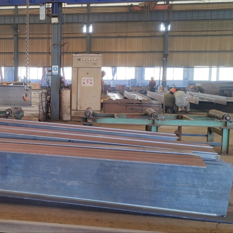 Steel Space Truss Airport with Galvanized Steel Structure/Steel Structure Cold Storage