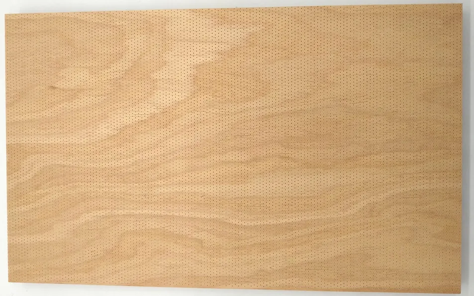 Microperforated Sound Absorption Material