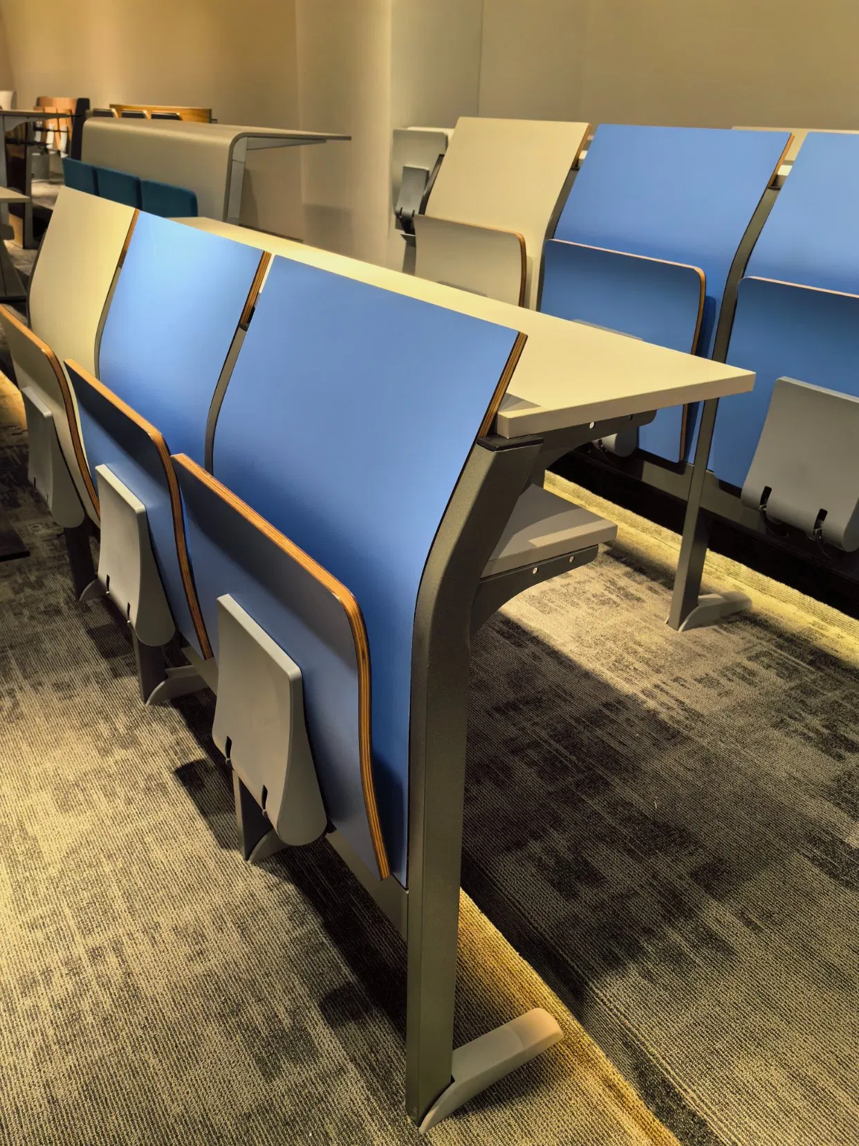 Auditorium Lecture Hall Educational University Study Student Classroom School Furniture