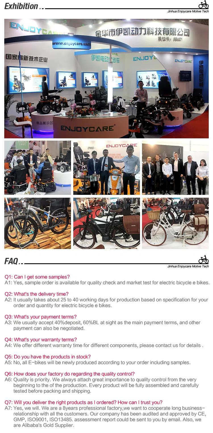 Mobility Scooter Details 2