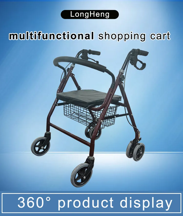 Elderly Walker Detail 1