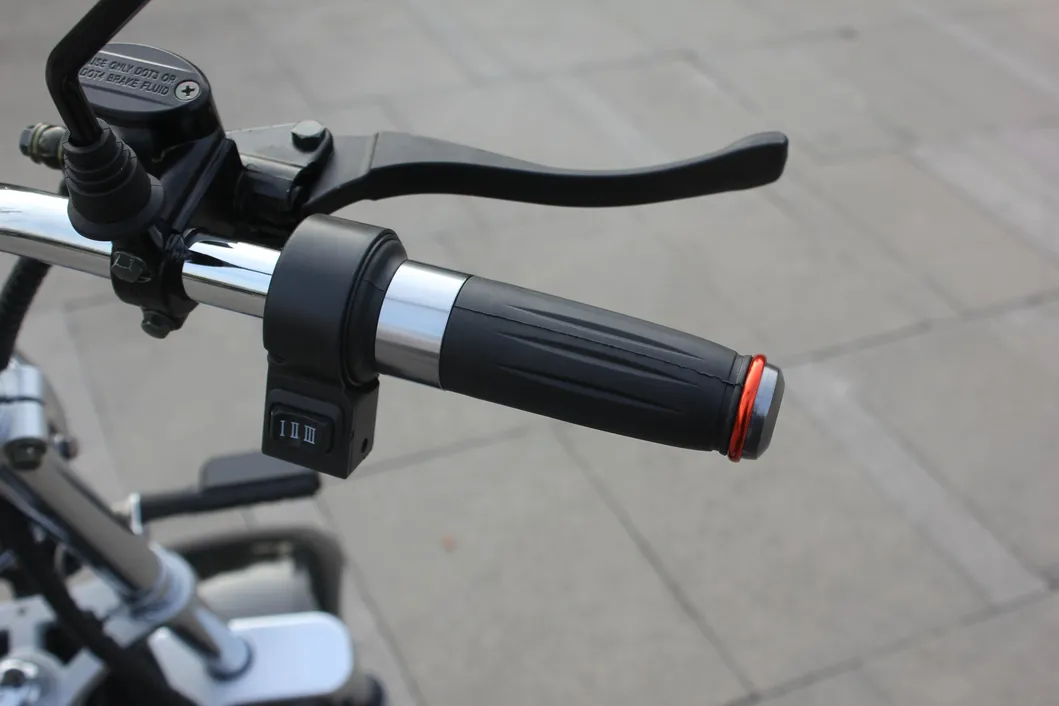 Electric Scooter Detail