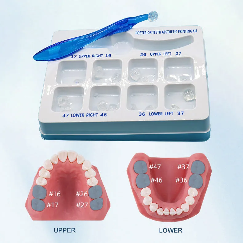 Dental Mould Kit 2