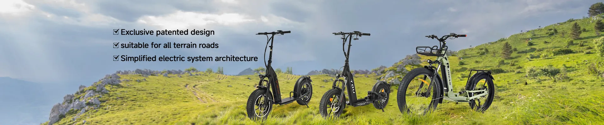 Electric Scooter Overview