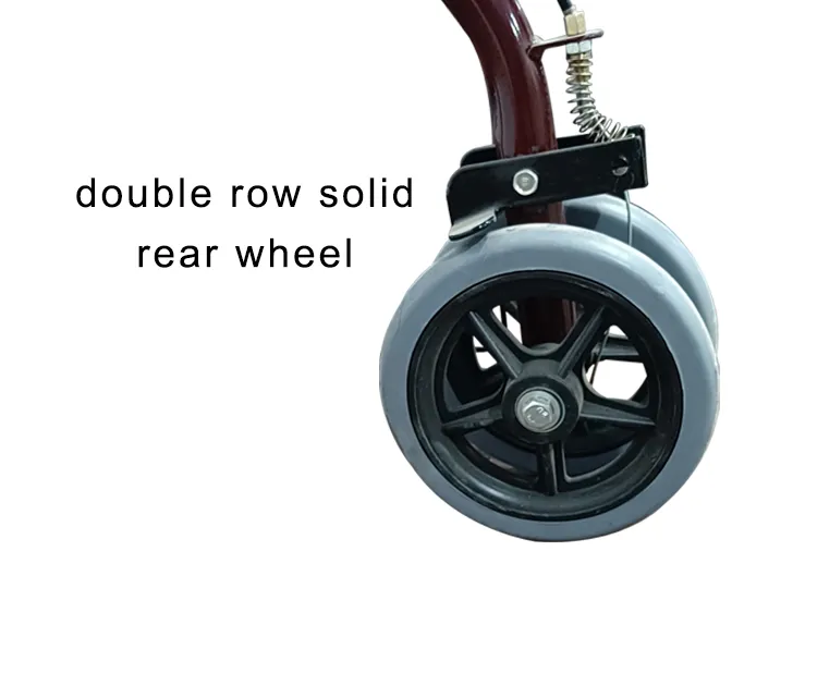 Elderly Walker Detail 6