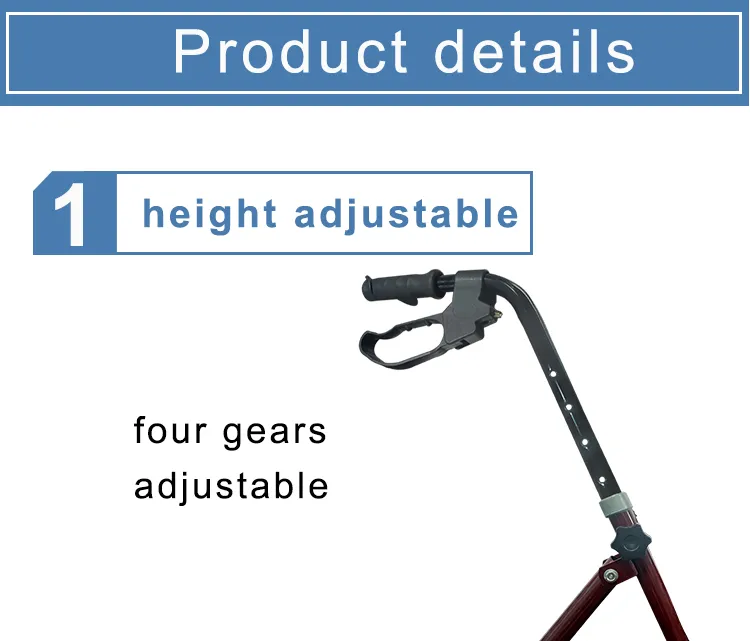 Elderly Walker Detail 4