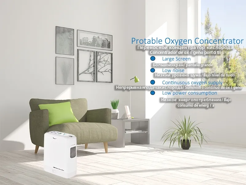 Lightweight Oxygen Concentrator