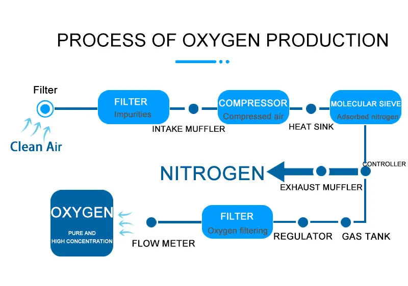 PSA Process Diagram