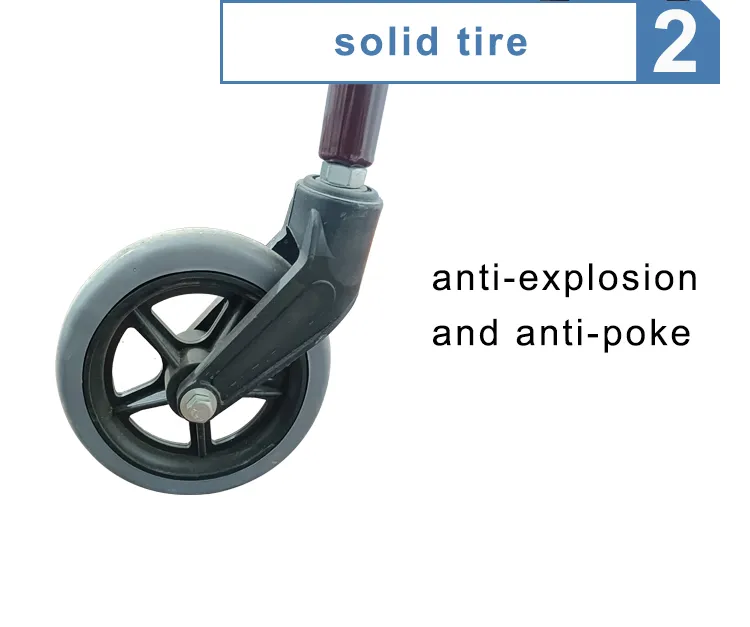 Elderly Walker Detail 5