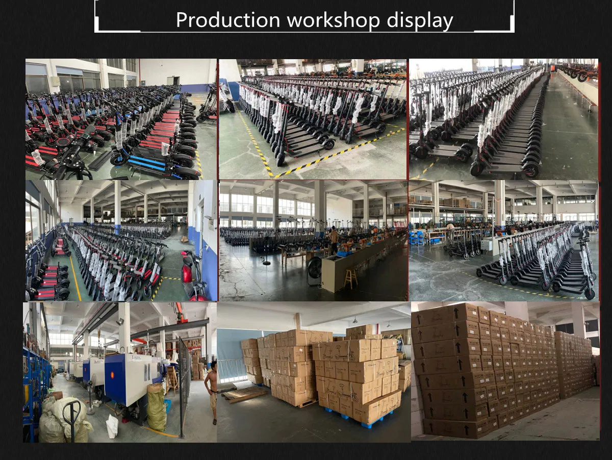 Electric Scooter Detail