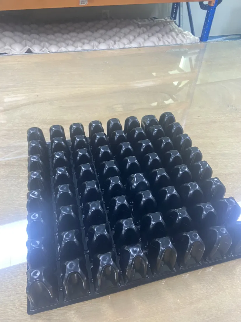 Pressure Adjustable Cushion Detail