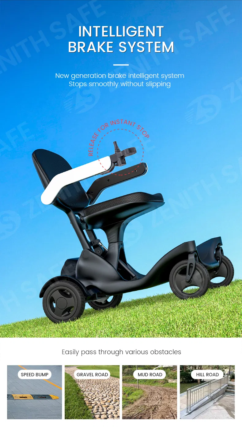 Carbon Fiber Mobility Detail 4