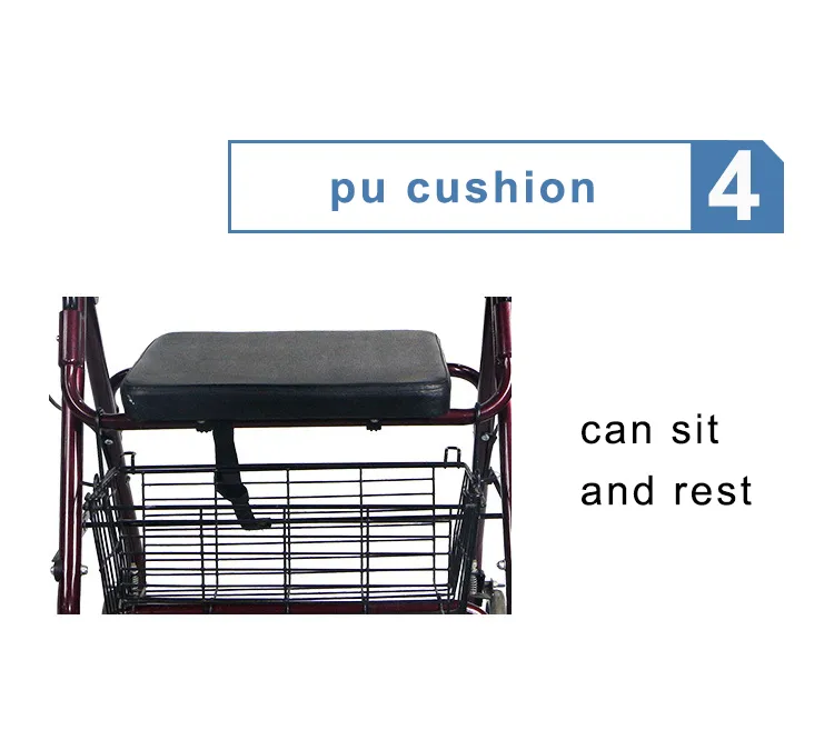 Elderly Walker Detail 8