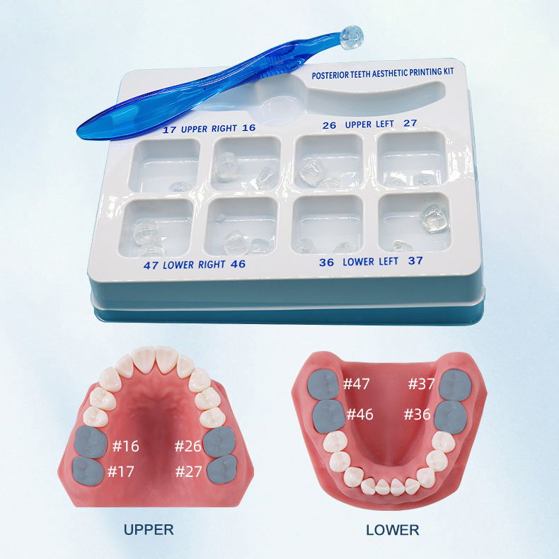 Dental Posterior Teeth Aesthetic Printing Mould Kits Perfectly Reshape Restoration Tooth Filling Oral Therapy Tools