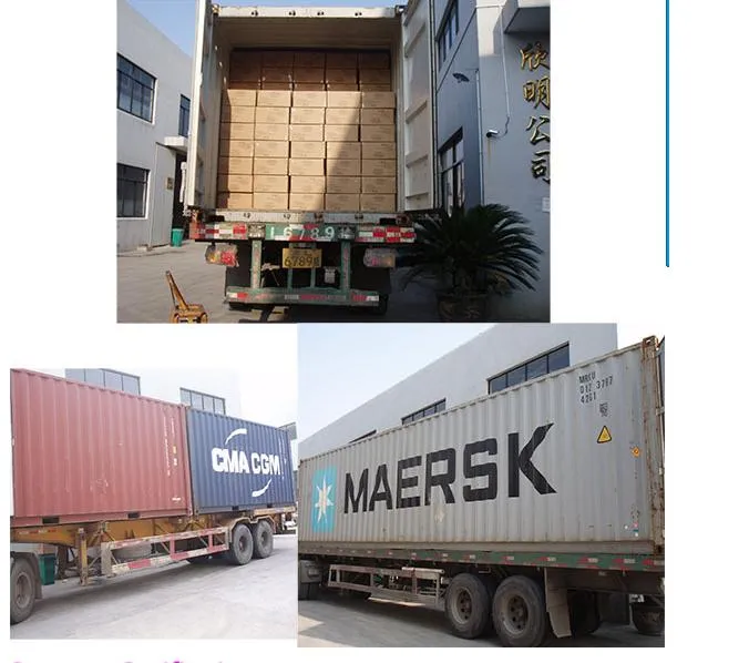 Packaging and Logistics