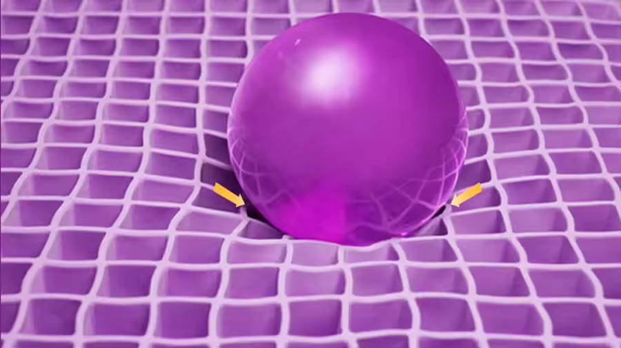 China Supply Sleep Polymer Elastic Mattress Toppers Pressure Relief Orthopedic Memory Foam Mattresses