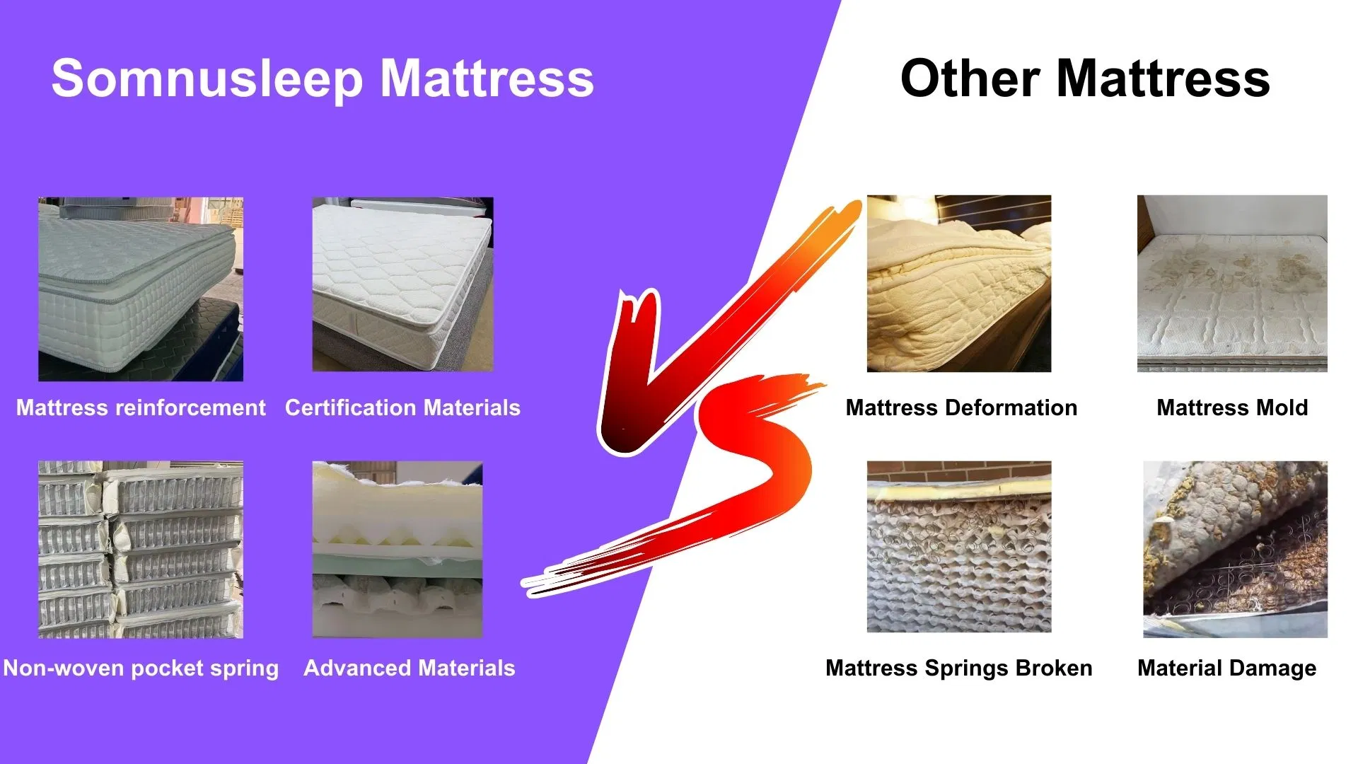 Pocket Coils Support