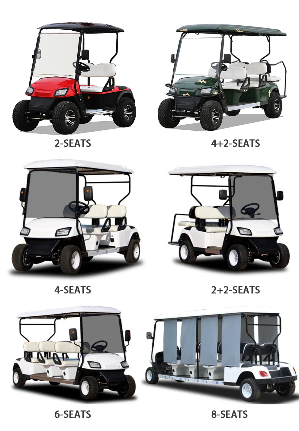 Multi Passenger Electric Golf Cart - Rear Perspective