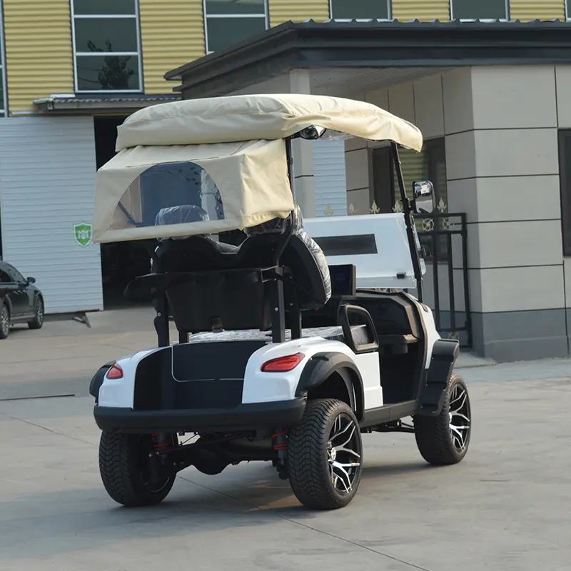 OEM Affordable 2 Seater Mini Sightseeing Car Golf Cart Electric Cars Manufacturer, Suppliers