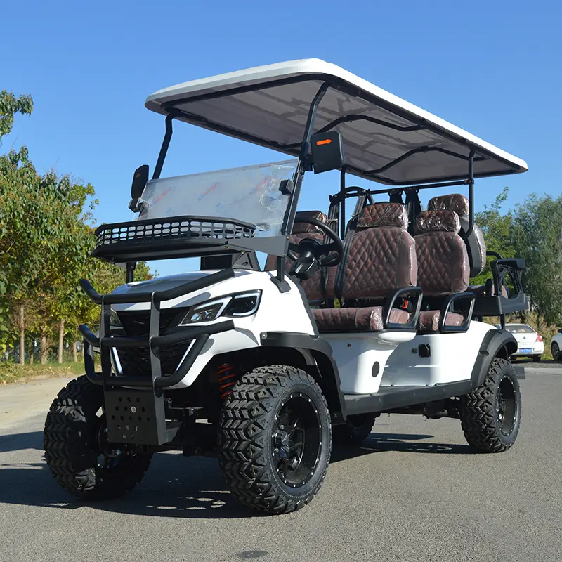 Best Electric Cars Buggy Golf Beemotors Supply CE Approved 15-40km/H Low Speed Electric Buggy Golf Car Manufacturers, Factories