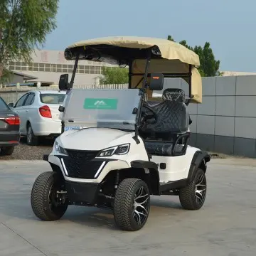 Leibin G70 factory direct 2-seater electric sightseeing car and club car