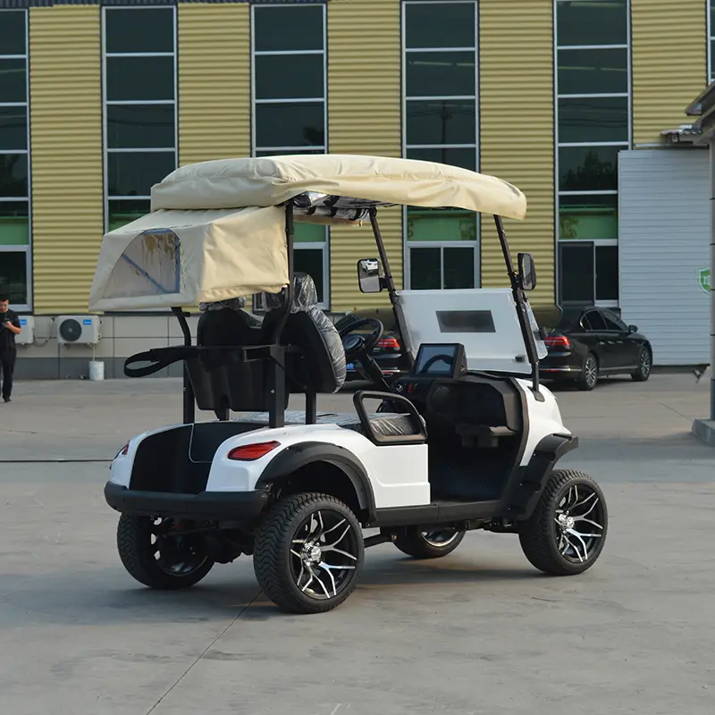 OEM Affordable 2 Seater Mini Sightseeing Car Golf Cart Electric Cars Manufacturer, Suppliers