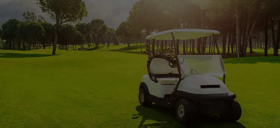 Leibin electric golf cart for golf courses and communities