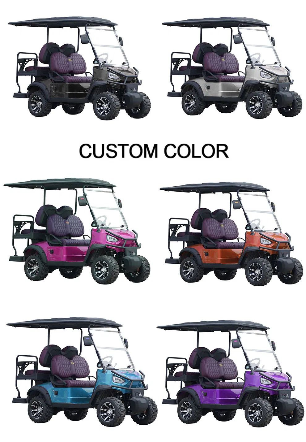 Affordable-2-Seater-Mini-Sightseeing-Car-Golf-Cart-Electric-Cars 3