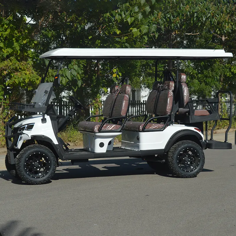 Cheap Wholesale China 6 Seat Electric Golf Carts, 72V Lithium Battery, Comfortable Customized Golf Buggy from Suppliers & Factory Factory, Factories